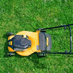 Entreprise de tonte de gazon 30